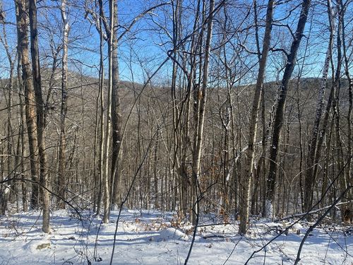 593 Old Warren Rd, Palmer, MA, 01069-9642 | Card Image