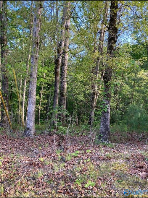Lot 1 Louise Cir, Gadsden, AL, 35901-6633 | Card Image