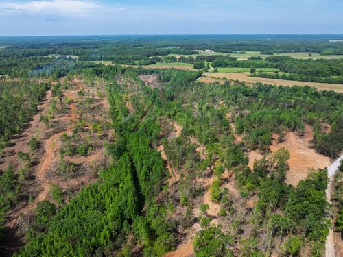 0 Spring Hill Rd, Sardis, TN, 38371 | Card Image