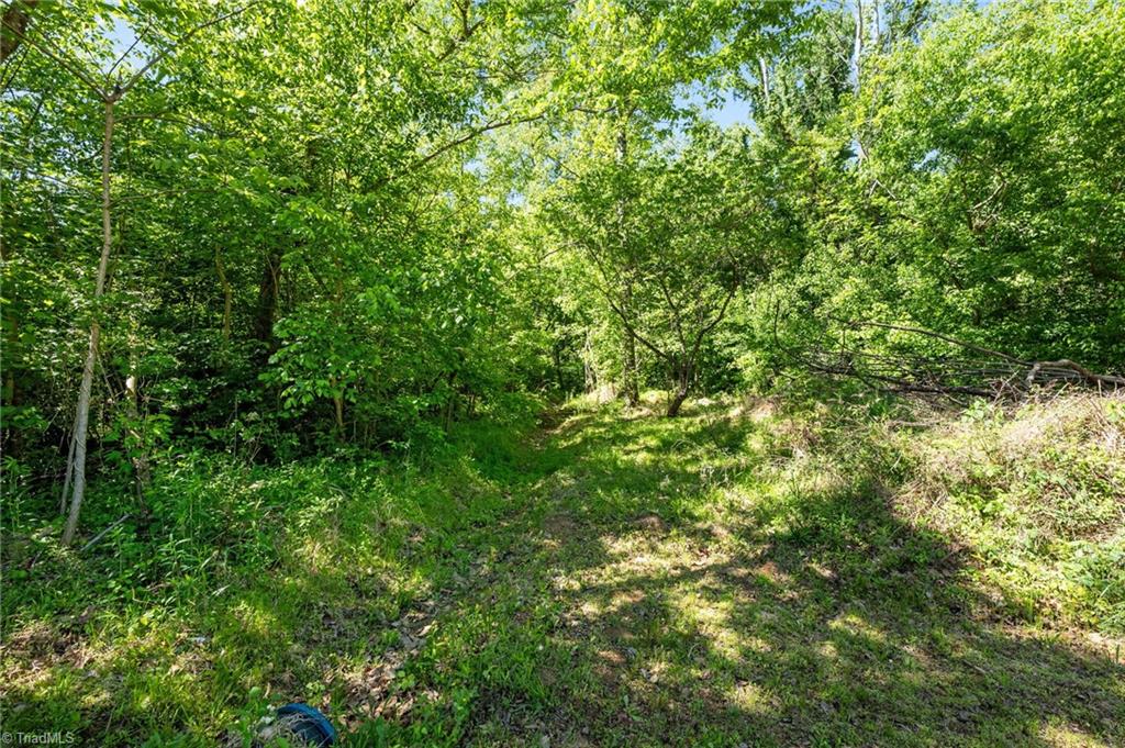 Land in Browns Summit 4