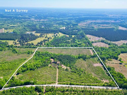 56.81 Hilt Fornea Rd, Poplarville, MS, 39470 | Card Image