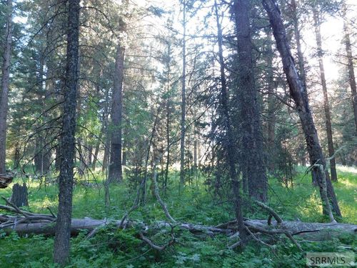4911 Shadow Wood Ln, Island Park, ID, 83429 | Card Image