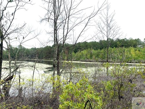 TBD Cr 2339, Marietta, TX, 75566 | Card Image