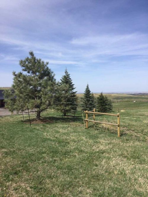 64226 306 Ave W, Foothills, AB, T1S7A6 | Card Image