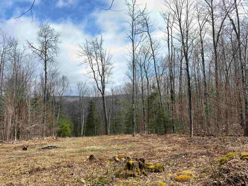 00 Miller Pond Rd, Grantham, NH, 03753 | Card Image