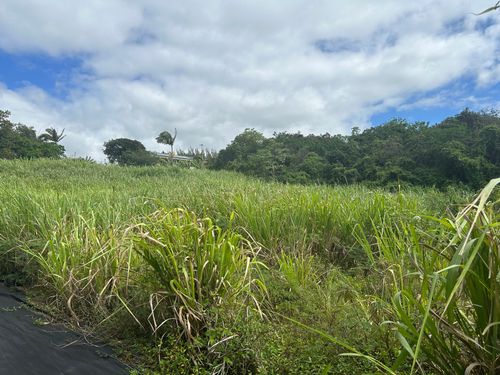 94-6487 Kekuhaupio Rd, NAALEHU, HI, 96772 | Card Image