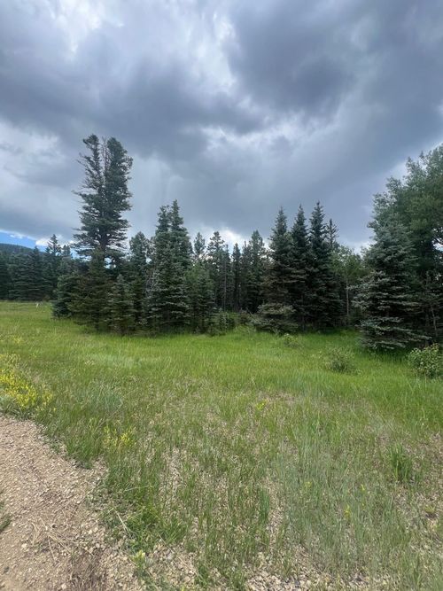 82 Elk Horn Dr, Angel Fire, NM, 87710 | Card Image