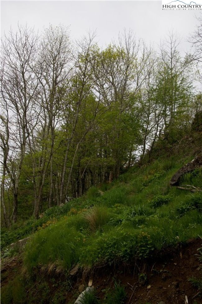 Rear of property | Image 5