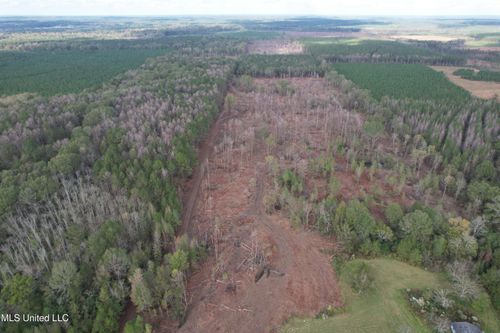  Holly Bush Road Road, Pelahatchie, MS, 39145 | Card Image