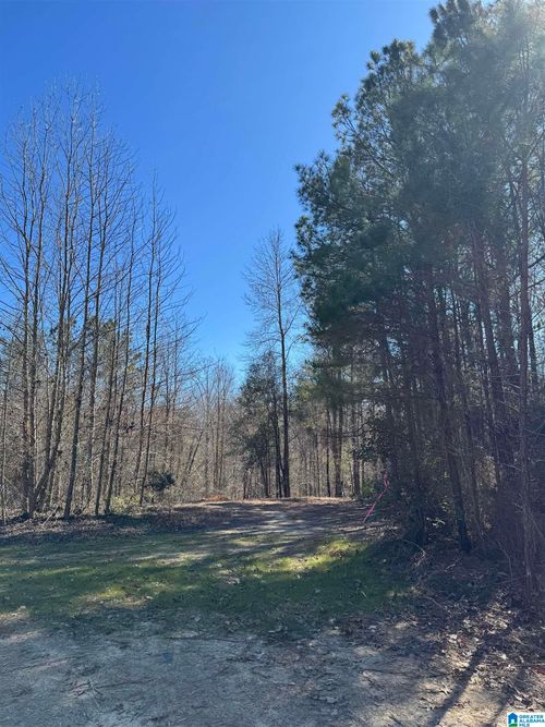 6-19063 Westside Road, Brookwood, AL, 35444 | Card Image