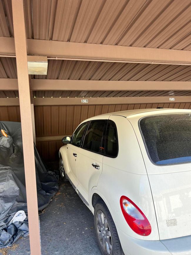Spot #309 | Image 26