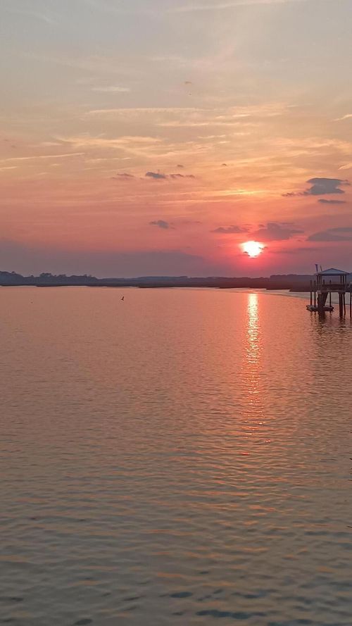 171 Bennetts Island Dr, Green Pond, SC, 29446-5227 | Card Image