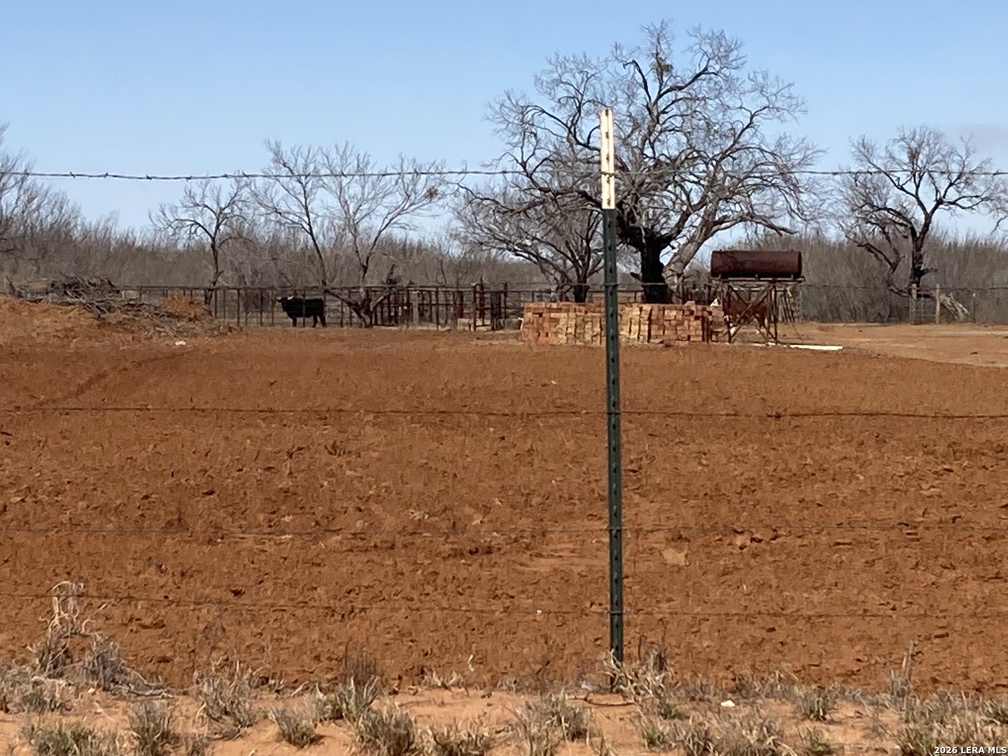 Residential in Dilley 3