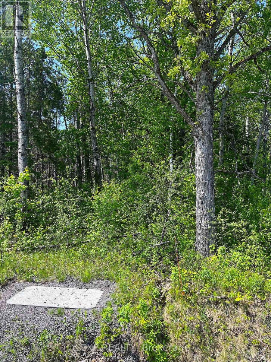 Land in Horton 4