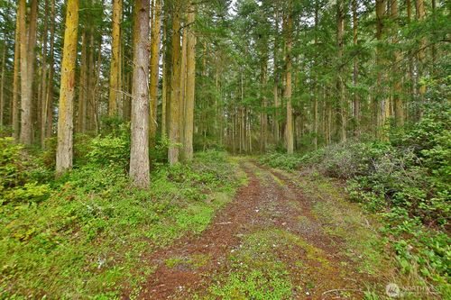 0 XXX Mutiny Bay Rd, Freeland, WA, 98249 | Card Image