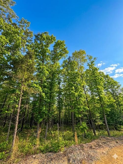 4 Vista Ridge Trail, Watson, OK, 74957 | Card Image