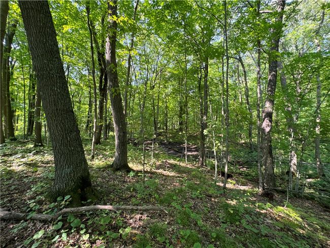 3088 110 Th St, Home with 0 bedrooms, 0 bathrooms and null parking in FREDERIC WI | Image 21