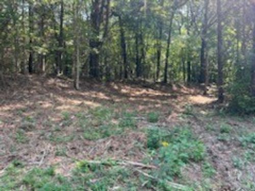 0 Shelter Branch Rd, Charlotte, TN, 37036 | Card Image
