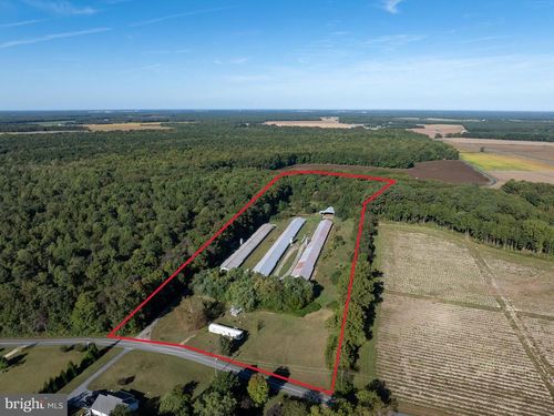 6026 Cokesbury Rd, RHODESDALE, MD, 21659 | Card Image