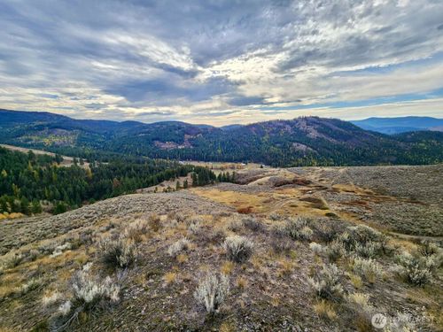 48 Oleander Rd, Republic, WA, 99166 | Card Image