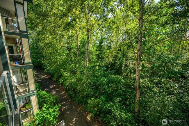 Greenspace | Image 23