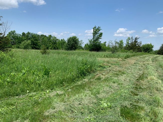 00 Buttermilk Falls Rd, Home with 0 bedrooms, 0 bathrooms and null parking in Roblin ON | Image 9