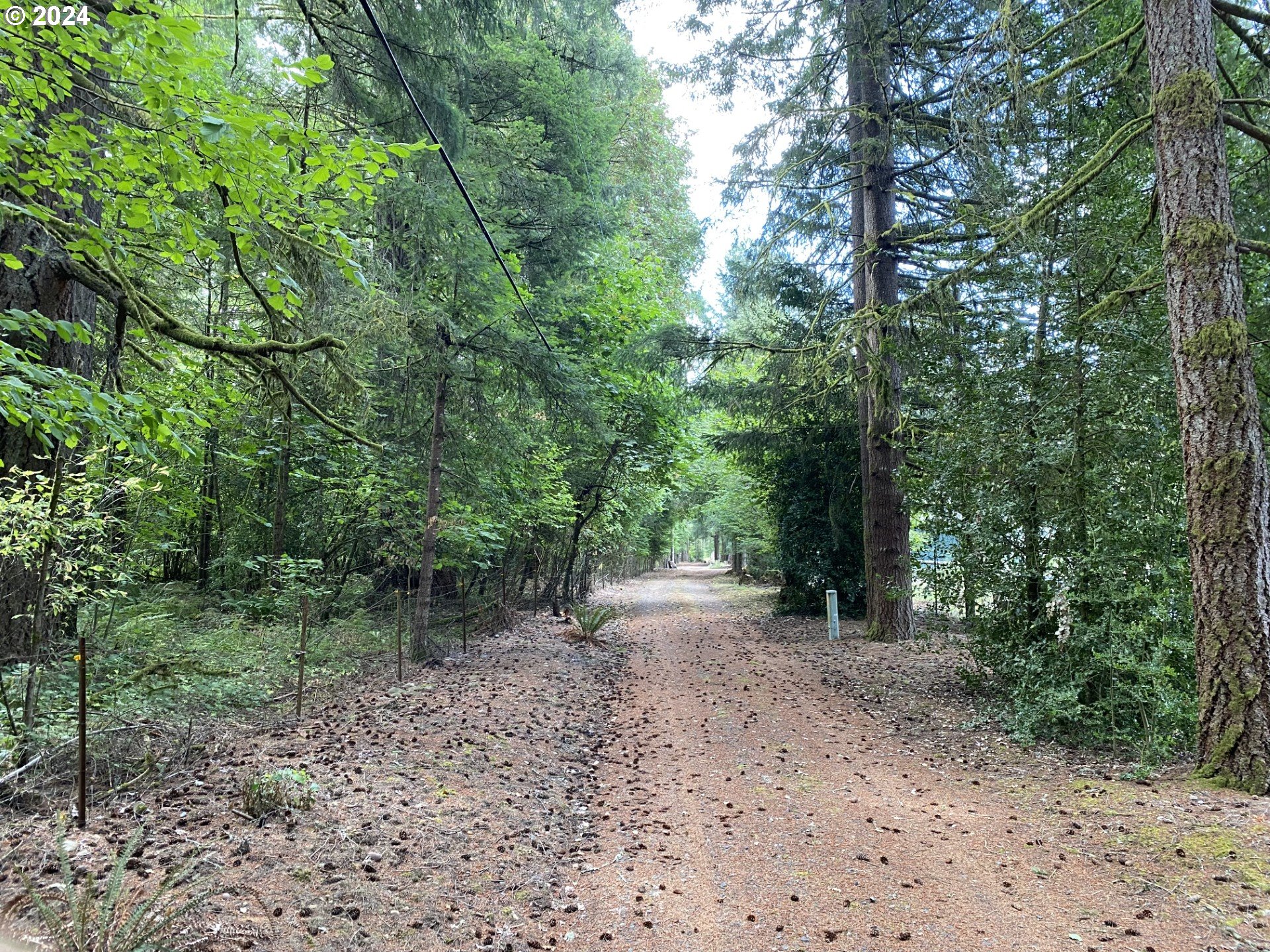 259th St, Battle Ground, WA 98604