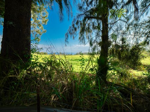 29-509 Chin Chuck Rd, HAKALAU, HI, 96710 | Card Image