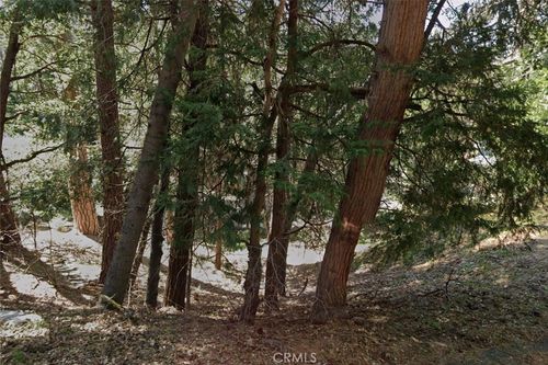 1 Crest Forest Dr, Cedarpines Park, CA, 92322-0112 | Card Image