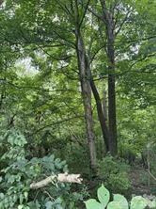 0 Bishop Ln, Mill Spring, NC, 28756 | Card Image