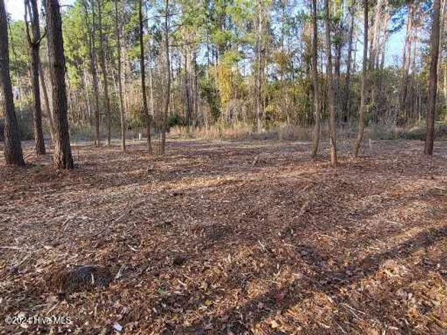 6 Minor Run Rd, Home with 0 bedrooms, 0 bathrooms and null parking in Edward NC | Image 9
