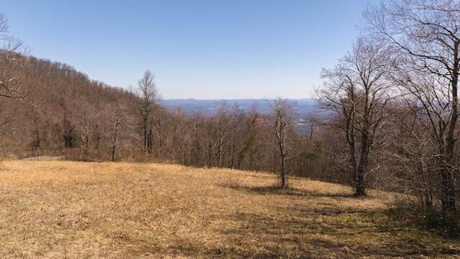 DJI_20250327121630_0745_D | Image 6