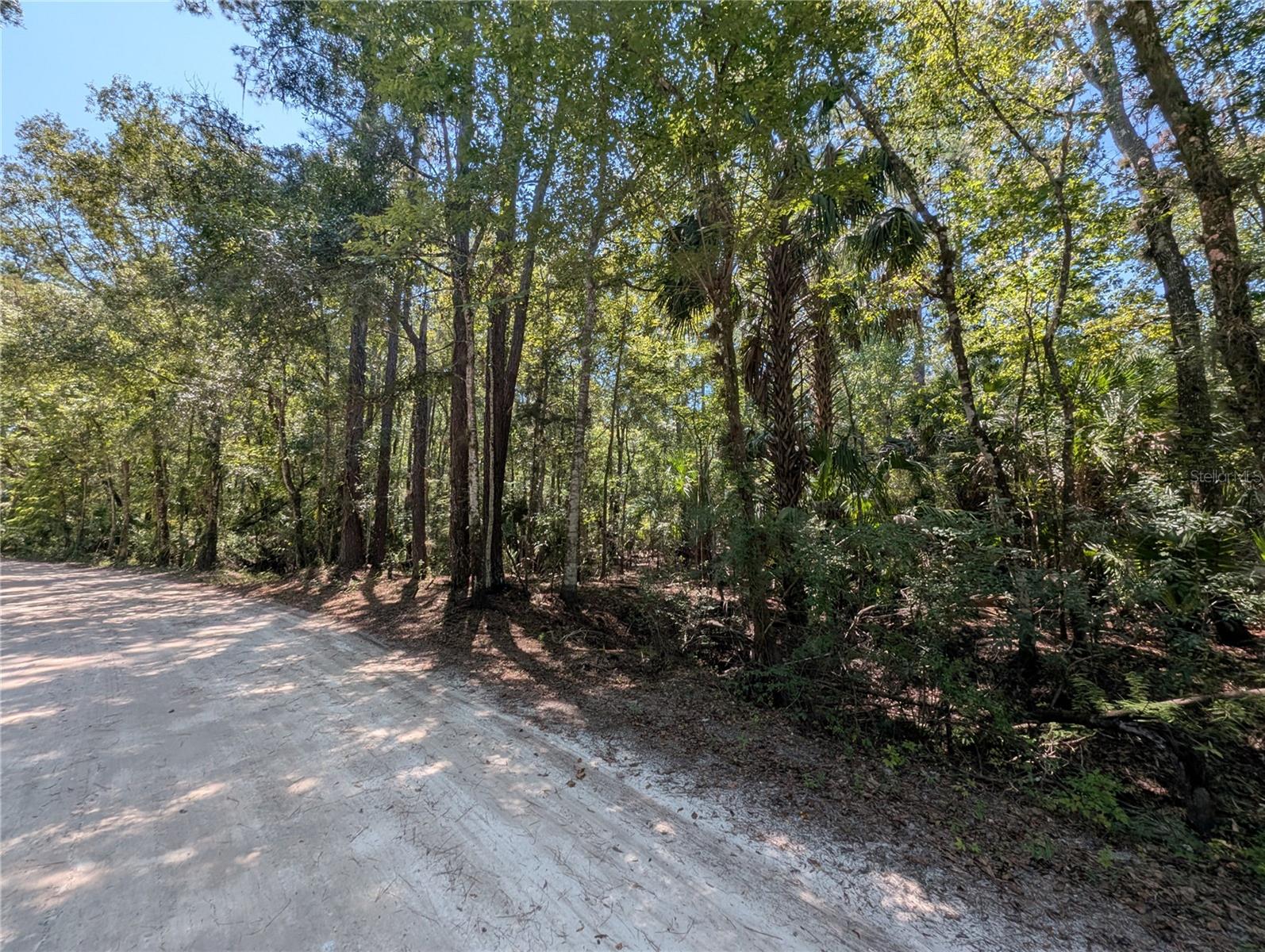 Land in HERNANDO 2