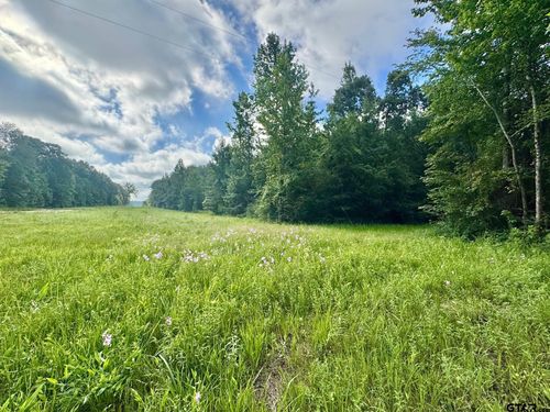 TBD County Road 369, Winona, TX, 75792 | Card Image