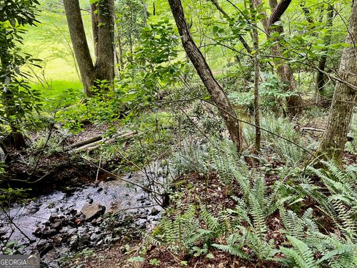 Lot 4 Lower Fox Trl, Blairsville, GA, 30512 | Card Image