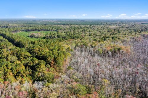 0 Spring Grove Rd, Adams Run, SC, 29426 | Card Image