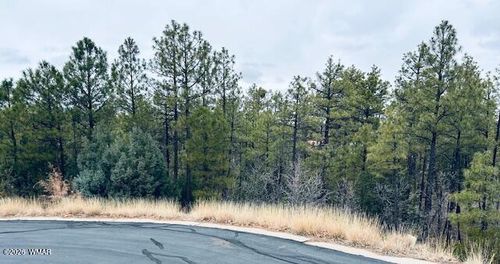 1790 W Snow Creek Trl, Show Low, AZ, 85901-3494 | Card Image