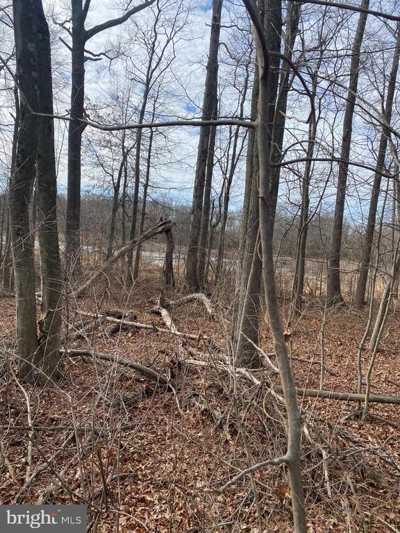 Residential in MOUNT LAUREL 5