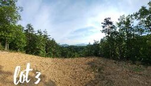 2811 Reese Mountain Rd, Elliston, VA, 24087 | Card Image