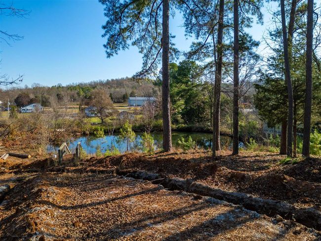 8721 State Route 973, House other with 2 bedrooms, 0 bathrooms and null parking in Dunmor KY | Image 14