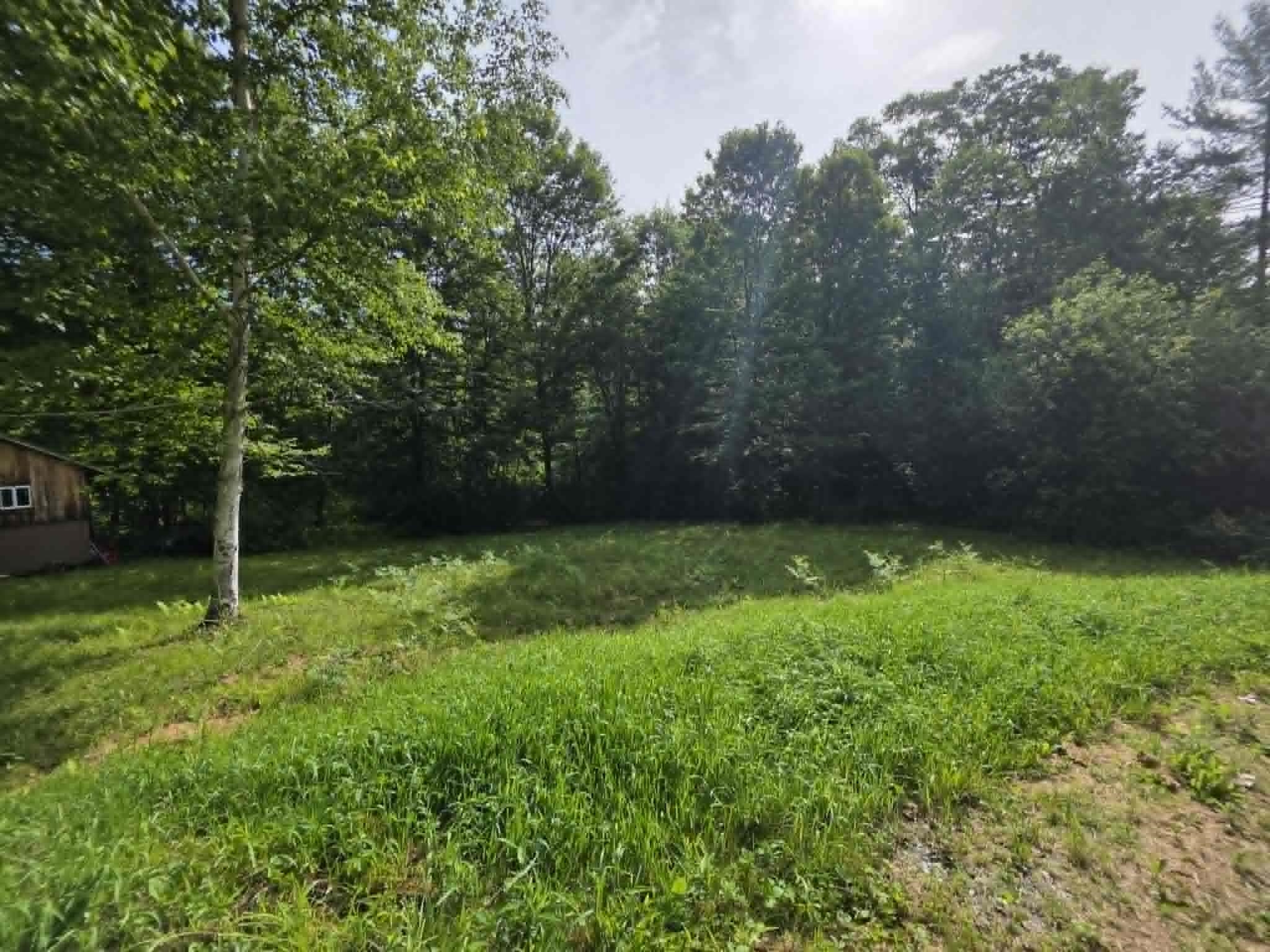 Land in Putney 5