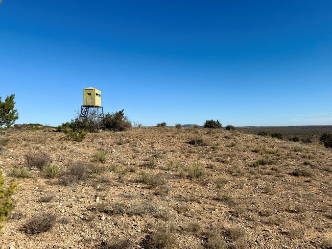 00 W Hwy 158, Home with 0 bedrooms, 0 bathrooms and null parking in Bronte TX | Image 18