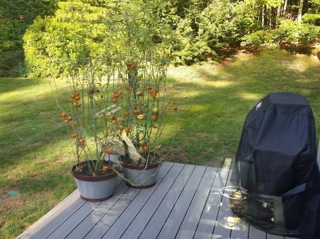 51 Hannah Dr, House other with 5 bedrooms, 3 bathrooms and null parking in Hollis NH | Image 41