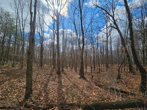 10 Griswold Rd, Altamont, TN, 37301 | Card Image