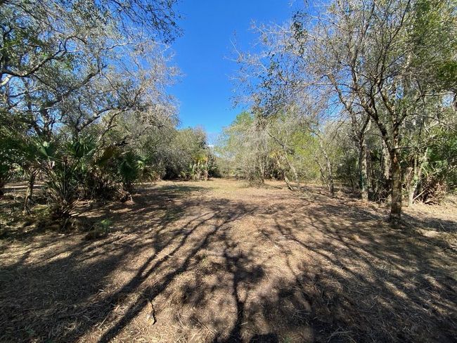 15936 306 Th St, Home with 0 bedrooms, 0 bathrooms and null parking in Okeechobee FL | Image 11