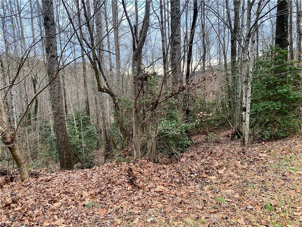 Land in North Wilkesboro 2