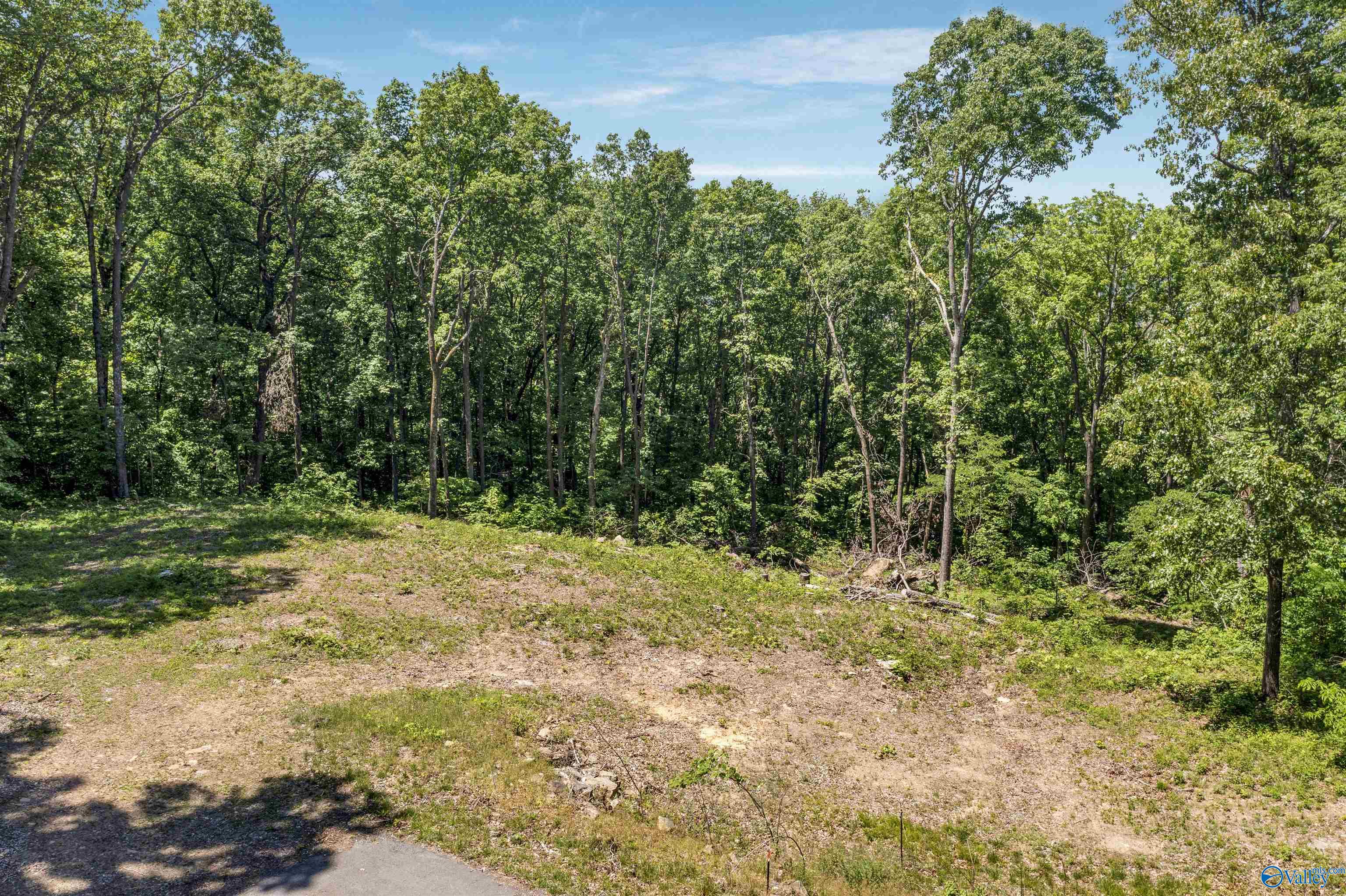 Land in Fort Payne 3