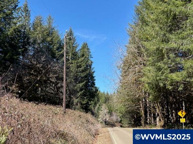 0 Logsden Rd, Home with 0 bedrooms, 0 bathrooms and null parking in Blodgett OR | Image 9
