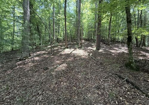 Lot 2607 Magnet Ct, Ellijay, GA, 30540 | Card Image