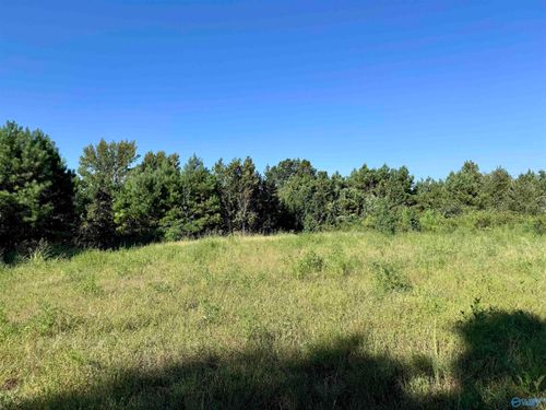 33+/- Acres County Road 1101, Vinemont, AL, 35179 | Card Image